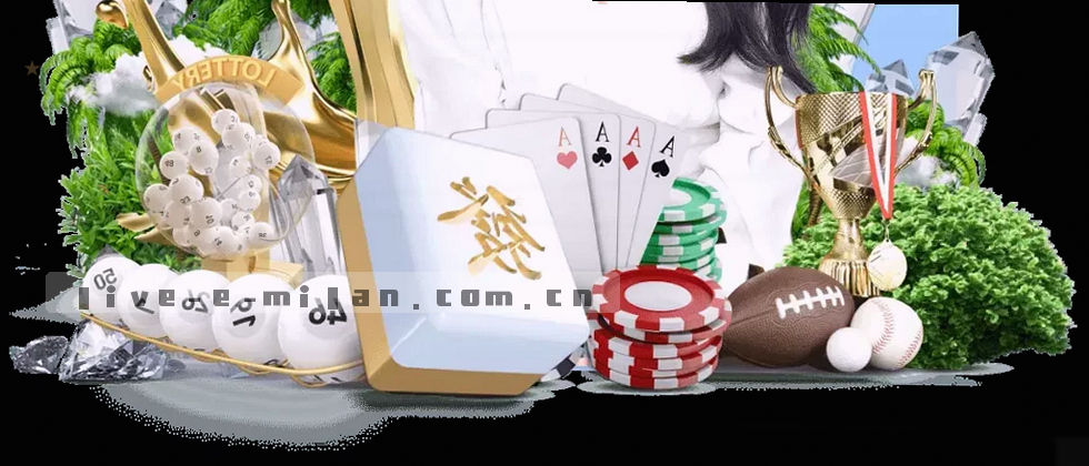 隐私政策与用户权益说明